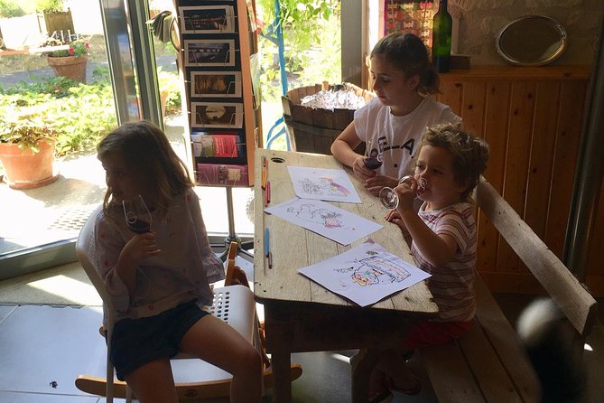 Chinon Wine Tour by Bike With Picnic Lunch - The Sum Up