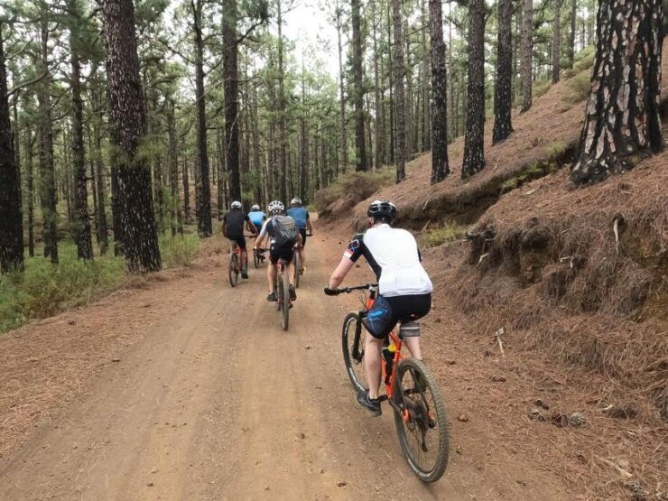 Chinyero Fire - EMTB/MTB Tour - Activity Details