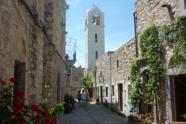 Chios: Half-Day Sightseeing Tour - Explore Chioss Diversity