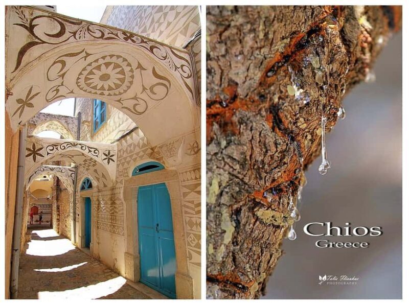Chios: Masticha Villages Half Day Tour - FAQ