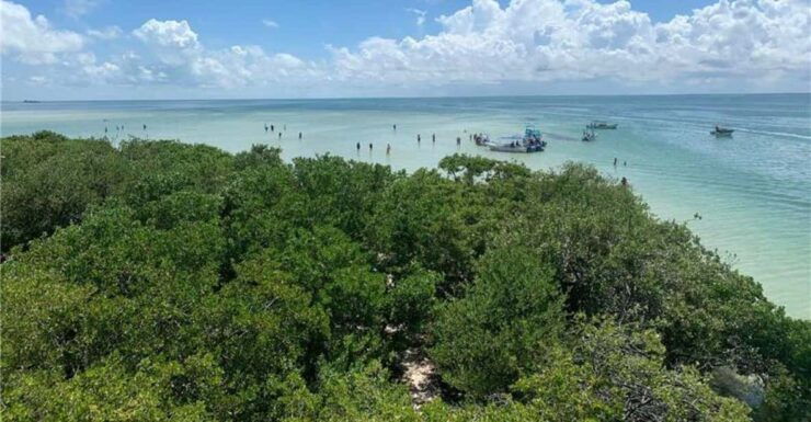 Chiquilá: Holbox Island and Isla Pasión Day Trip - Good To Know