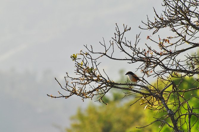 Chisapani Nagarkot Hiking - Must-See Attractions on the Chisapani Nagarkot Hike