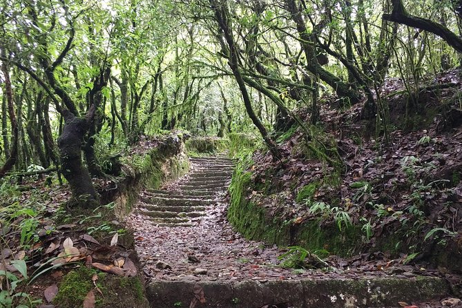 Chisapani With Nagarkot Short Trek - Directions