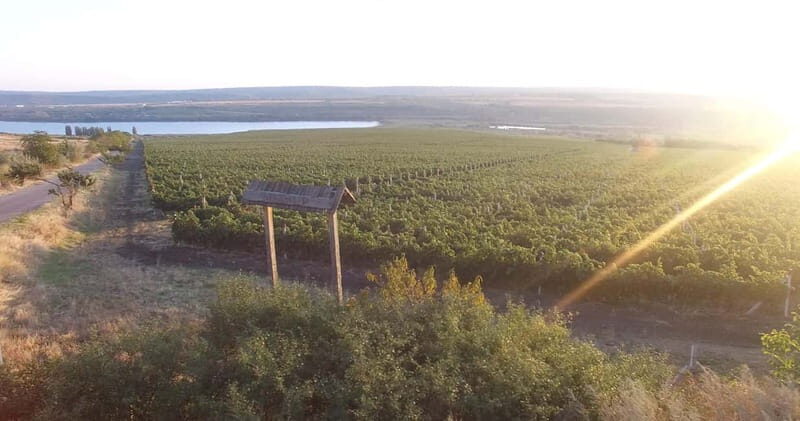 Chisinau: City Tour and Cojusna Winery with Tasting - Exploring Moldova’s Capital and Wine Heritage: The Chisinau City Tour & Cojusna Winery Experience