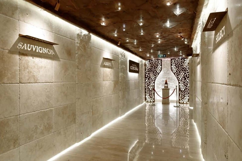 Chisinau: City Tour and Cojusna Winery with Tasting - Who Is This Tour Best For?