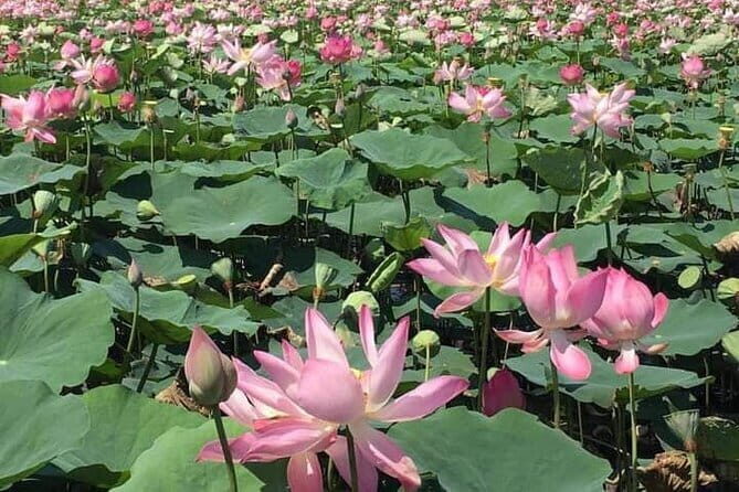 Chiso temple, Neang khmao, and Taprum temple historical site Tour - A Deep Dive into the Temples