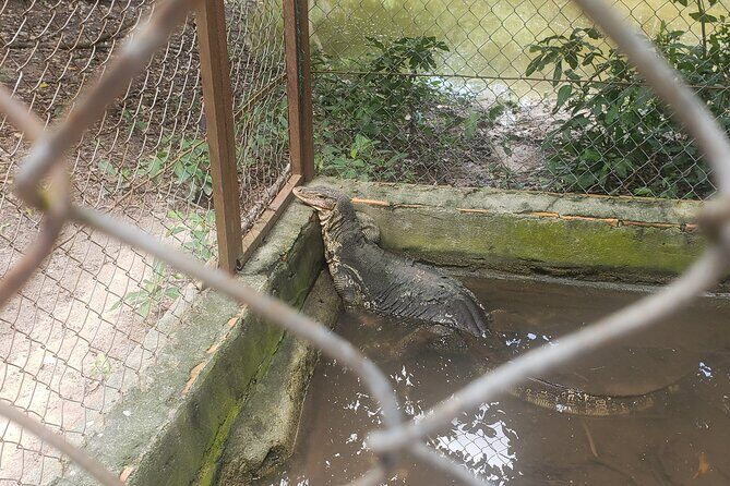 Chisor mountain,Ta Moa Zoo ,Ta Prom temple Tour - FAQ