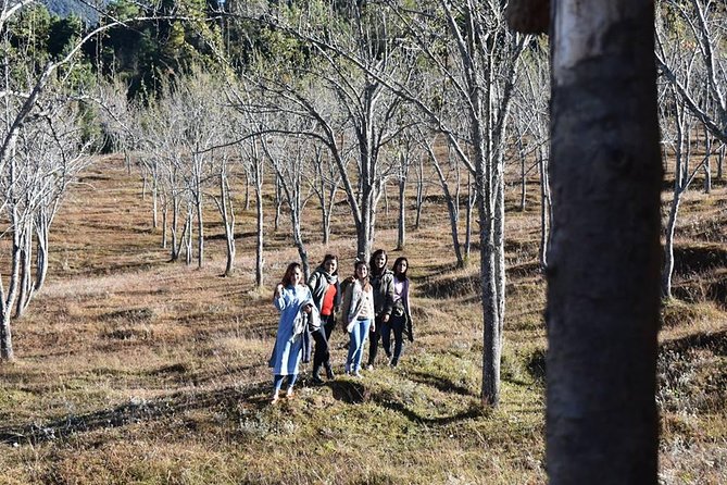 Chitlang Markhu Overnight Hiking Trip - Inclusions