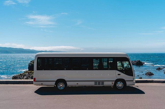 Chitose Airport to Niseko Private Bus Transfer Vice Versa - Who Would Benefit Most?