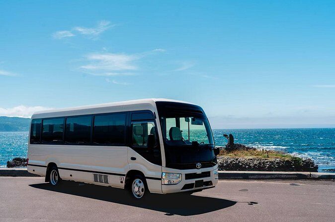 Chitose Airport to Niseko Private Bus Transfer Vice Versa - Final Thoughts