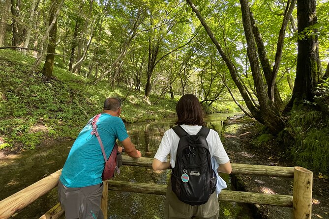 Chitose River E-Bike Cycling and The Birdwatching Cafe - Chitose River E-Bike Cycling: Discover the Scenic Route