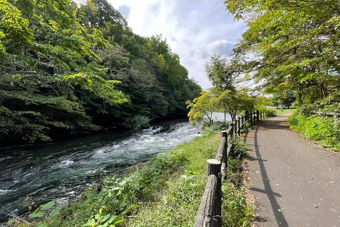 Chitose River E-Bike Cycling and The Birdwatching Cafe - Exploring Chitose Rivers Biodiversity
