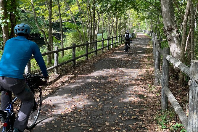 Chitose River E-Bike Cycling and The Birdwatching Cafe - A Unique Experience: E-Biking and Birdwatching Combined