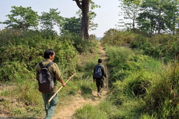 Chitwan: 2-Night 3-Day Highlights Tour With Accommodation - Key Points