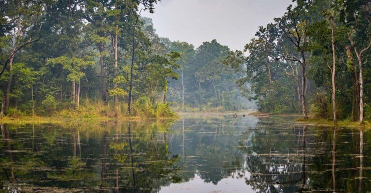 Chitwan: 2-Night 3-Day Highlights Tour With Accommodation - Experience Highlights