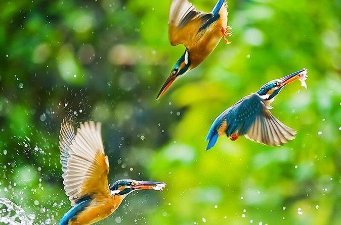 Chitwan 2 Nights All Inclusive Jungle Safari Tour - Who Should Consider This Tour?