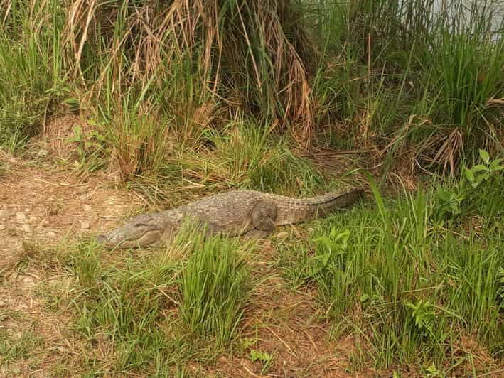 Chitwan: 3 Day Chitwan National Park Guided Tour - Detailed Itinerary