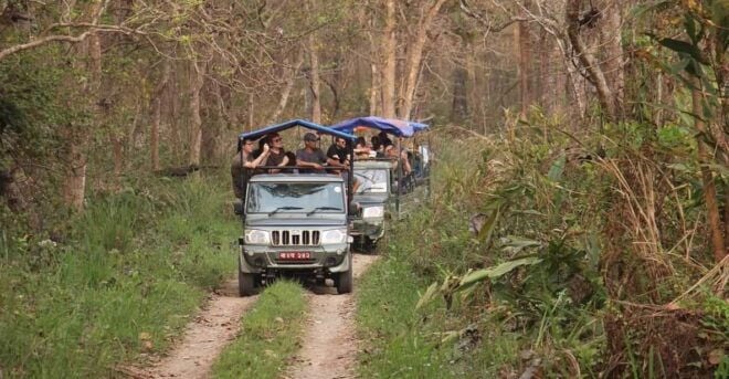 Chitwan: 3-Day Chitwan National Park Safari Tour - Questions You May Have