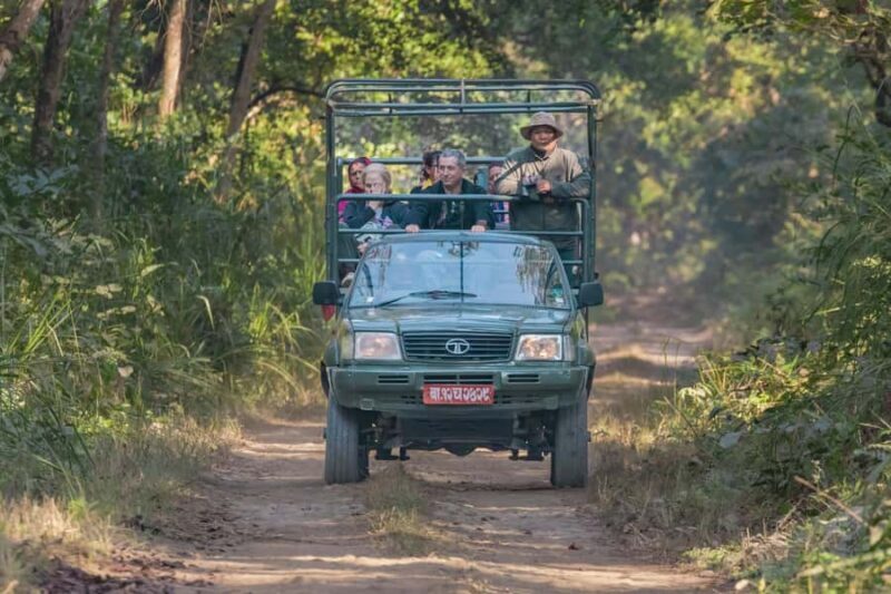 Chitwan: 3-Day Luxury Safari with Room, Meals & Transfers - Authentic Experiences & Reviewer Insights