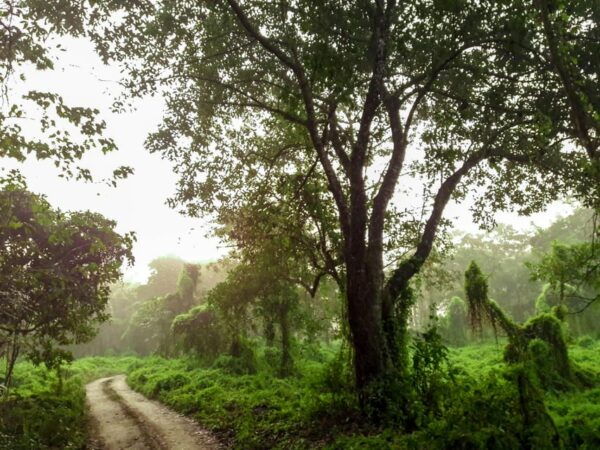 Chitwan: 3-Day National Park Tour With Wildlife Safari - Booking Information