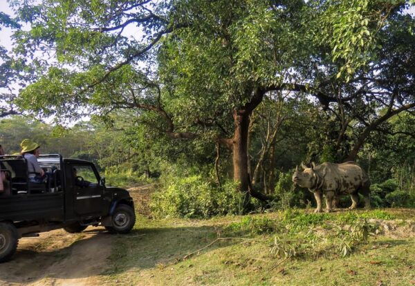 Chitwan: 3 Days Chitwan Jungle Tour by Jeep and Canoe Trip - Transportation Details