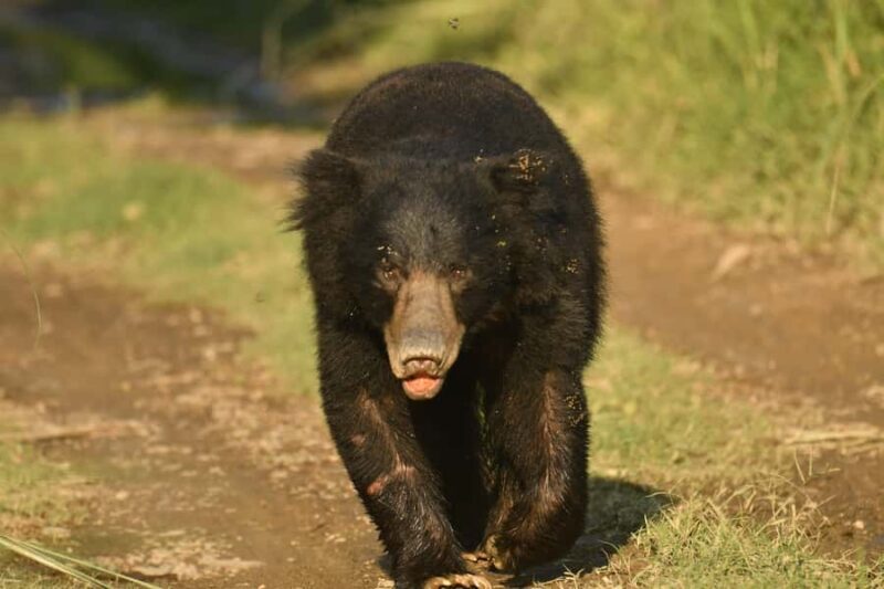 Chitwan 3 nights package from Kathmandu or Pokhara - Who Is This Tour Best For?