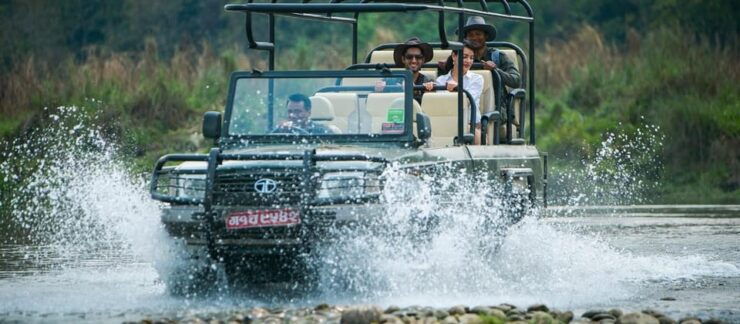 Chitwan Day Tour ( Canoeing+Jungle Walk+ Jeep Safari ) - Key Points
