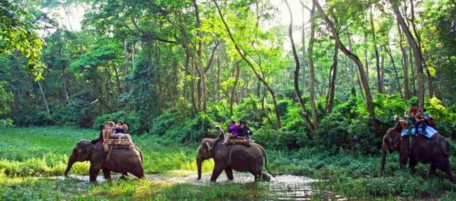 Chitwan Day Tour ( Canoeing+Jungle Walk+ Jeep Safari ) - Jungle Walk Adventure