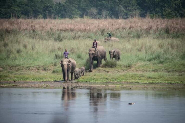 Chitwan Jungle Safari 2 Nights 3 Days - Daily Itinerary Breakdown