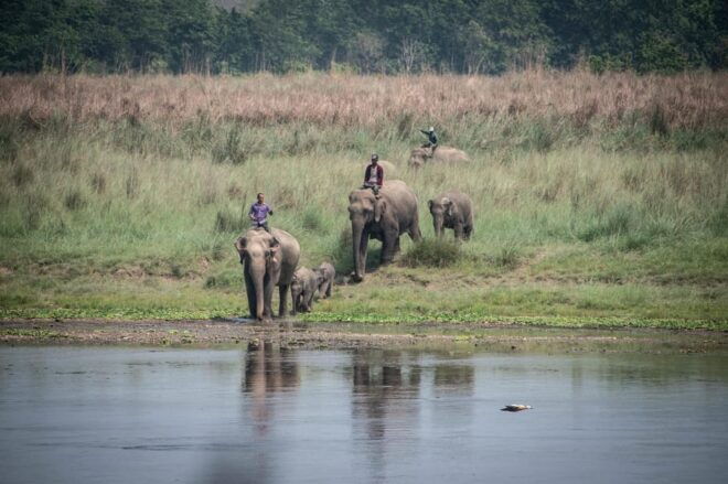 Chitwan Jungle Safari 2 Nights 3 Days - Transportation Details