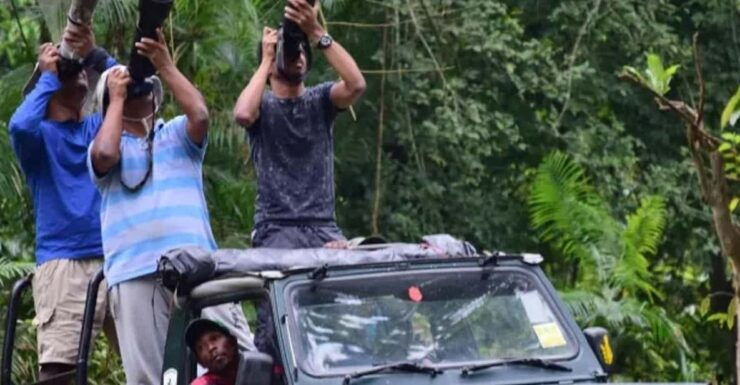 Chitwan Jungle Safari 2 Nights 3 Days From Kathmandu - Safari Experience