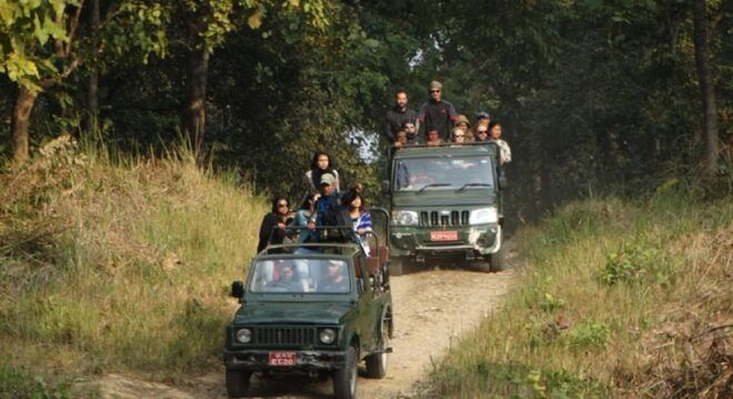 Chitwan Jungle Safari 2 Nights 3 Days From Kathmandu - Detailed Itinerary