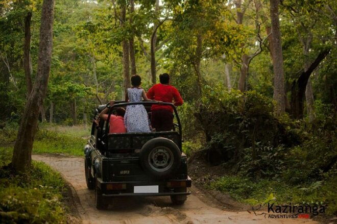 Chitwan Jungle Safari 2 Nights 3 Days From Kathmandu - Best Time to Visit