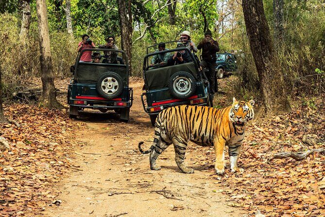 Chitwan Jungle Safari 3-Day Tour - Good To Know
