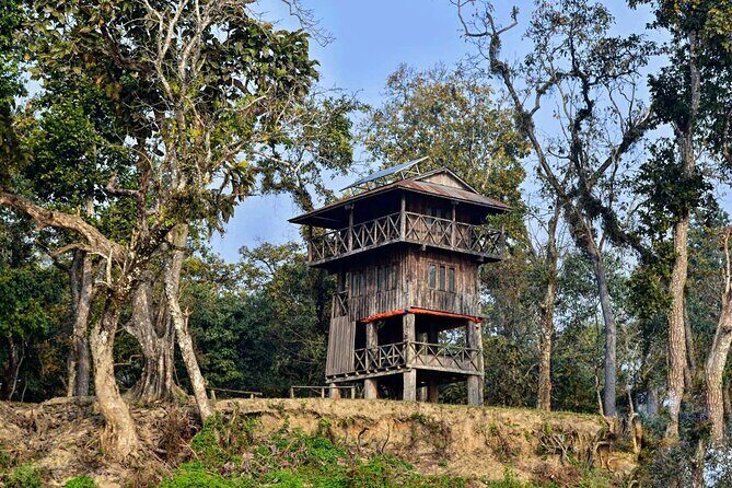 Chitwan Jungle Safari 3-Day Tour - The Itinerary in Detail: What to Expect on Your Jungle Safari