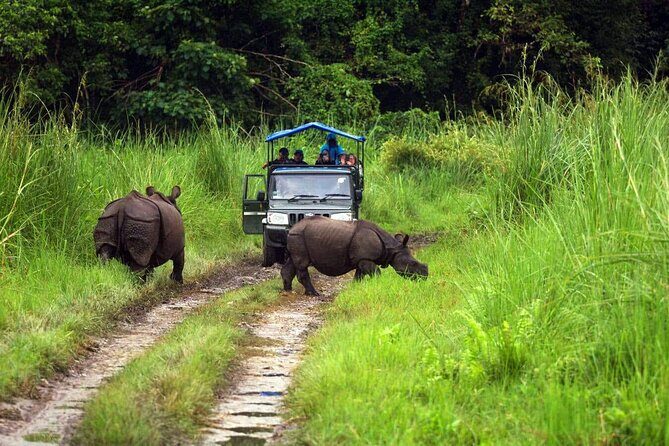 Chitwan Jungle Safari 3-Day Tour - FAQ - Frequently Asked Questions