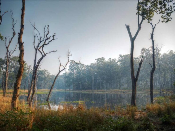 Chitwan Jungle Safari: 3-Day Wildlife Expedition - Detailed Itinerary