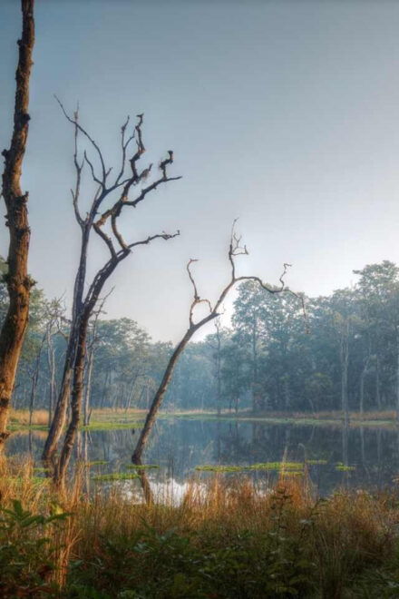 Chitwan Jungle Safari: 3-Day Wildlife Expedition - Day 1 Activities