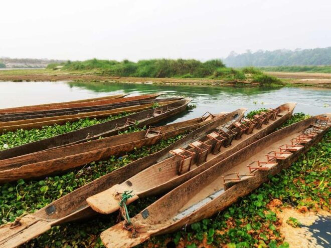 Chitwan Jungle Safari: 3-Day Wildlife Expedition - Day 2 Adventures