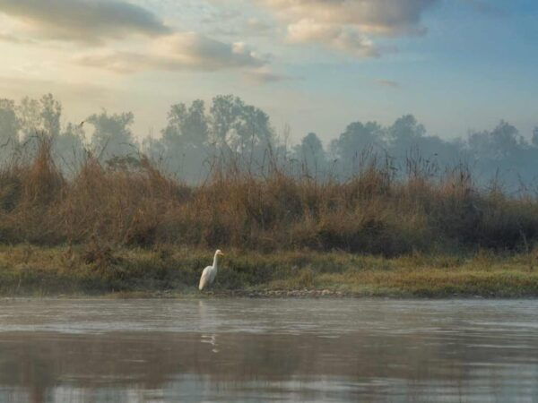 Chitwan Jungle Safari: 3-Day Wildlife Expedition - Important Information