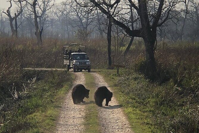 Chitwan Jungle Safari from Kathmandu and Back Multi Day Tour - Who Would Love This Tour?