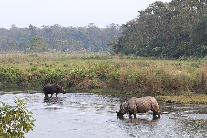 Chitwan Jungle Safari from Kathmandu and Back Multi Day Tour - Final Thoughts