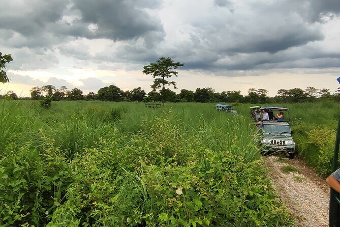 Chitwan Jungle Safari from Kathmandu and Back Multi Day Tour - FAQ