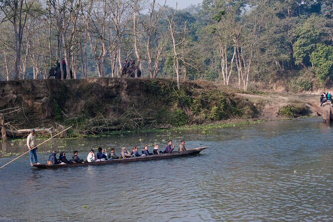 Chitwan Jungle Safari from Kathmandu Pokhara - Introduction: An Authentic Jungle Adventure in Nepal