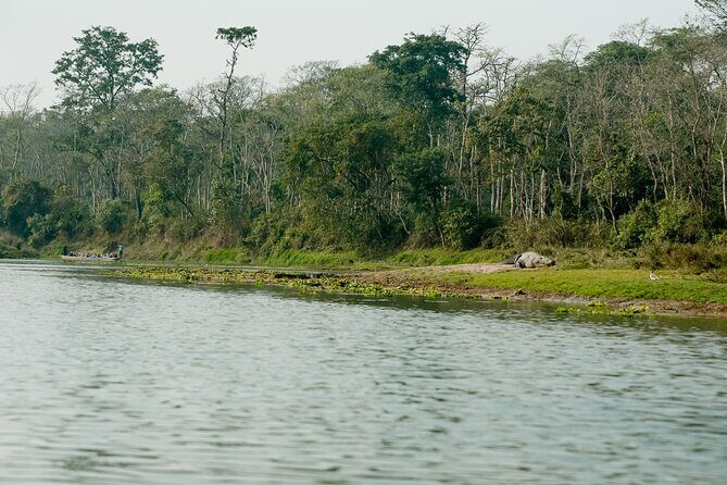 Chitwan Jungle Safari from Kathmandu Pokhara - Who Should Consider This Tour?