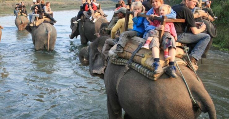 Chitwan Jungle Safari Tour: 3-Day Chitwan National Park Tour - Tour Duration and Features