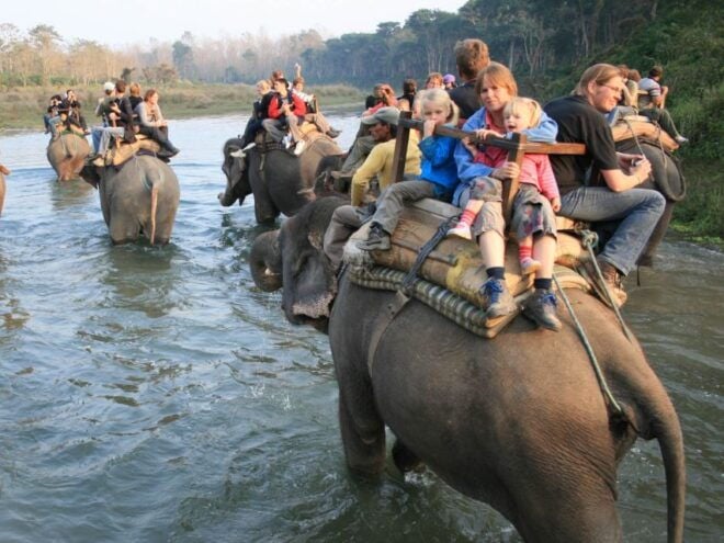 Chitwan Jungle Safari Tour: 3-Day Chitwan National Park Tour - Common Questions