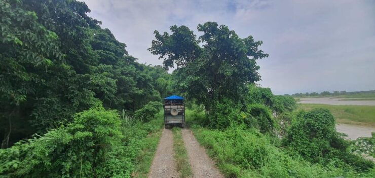 Chitwan Jungle Safari Tour by Private Car at Luxury Resort - Booking Information