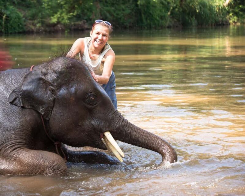 Chitwan: Jungle Safari Tour with Canoe Ride in Forest River - FAQs