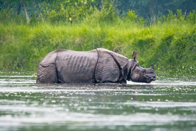 Chitwan Jungle Safari Tours - Tour Expectations